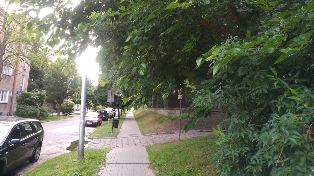 Weteranów (2)