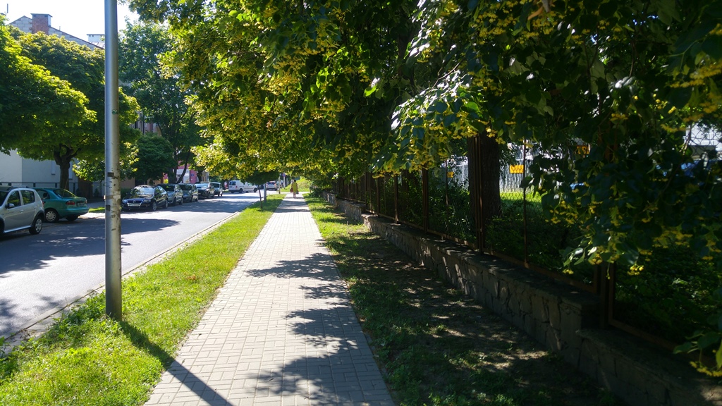 Weteranów przychodnia Stasic v
