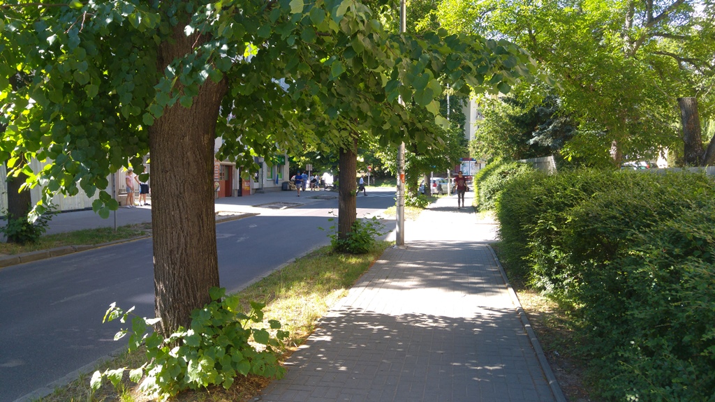 łopacińskiego fef (1)