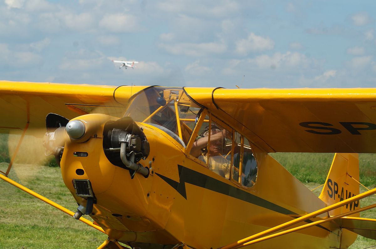 310