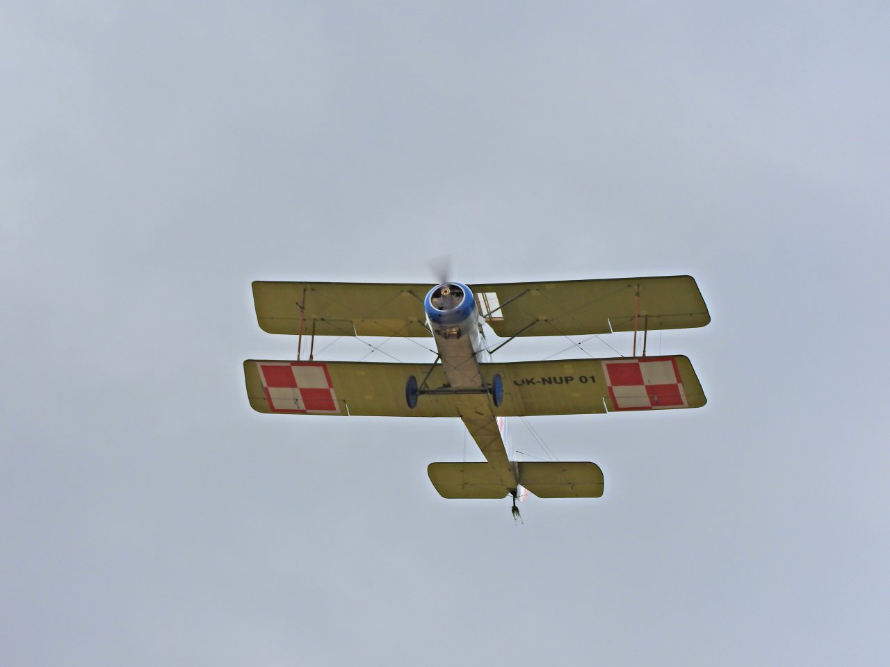 DSCN2459