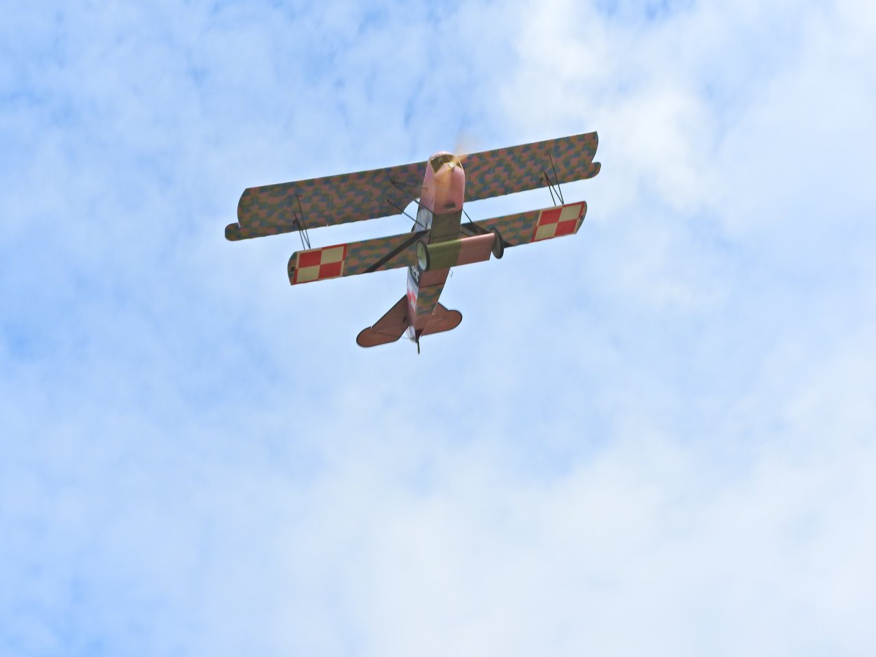 DSCN2493