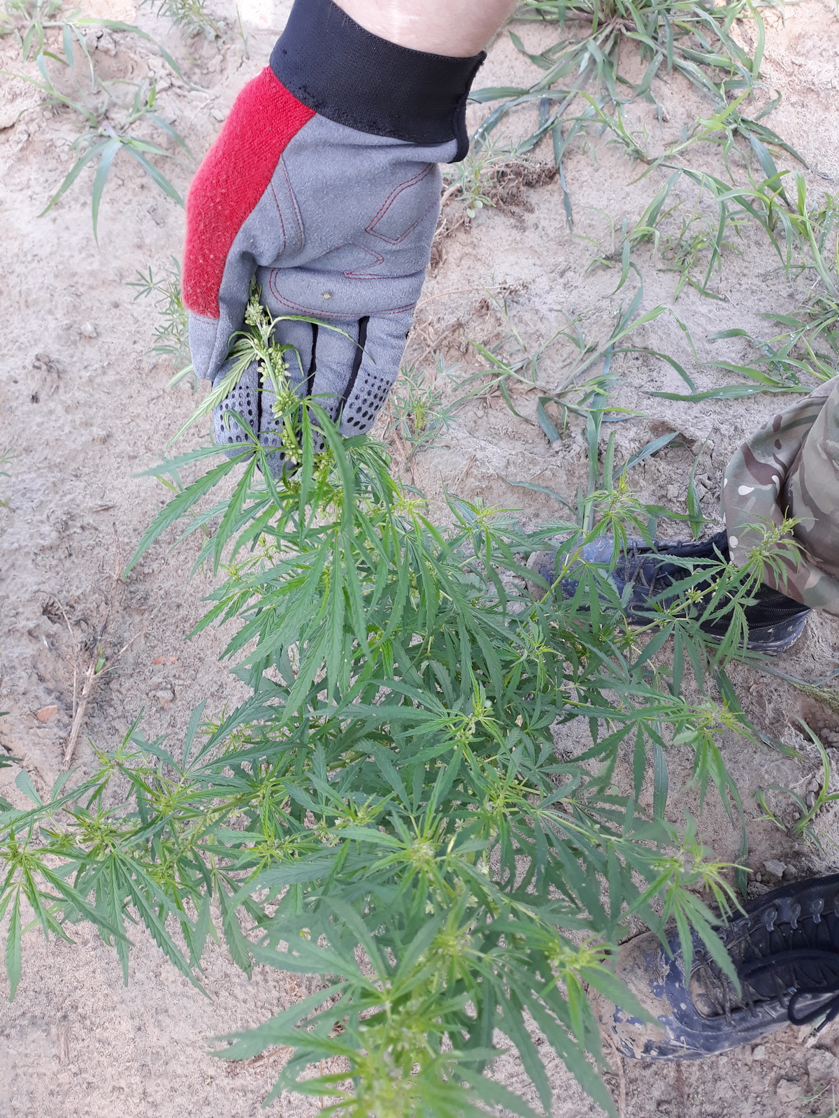 141-254616