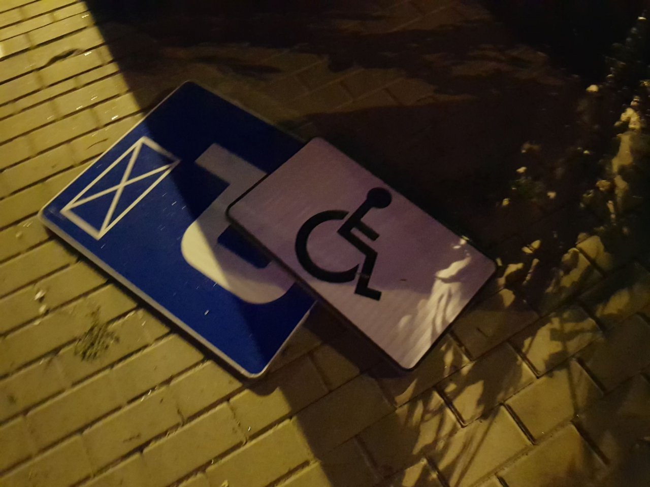 68950118_2494216713958398_2575129985429798912_n