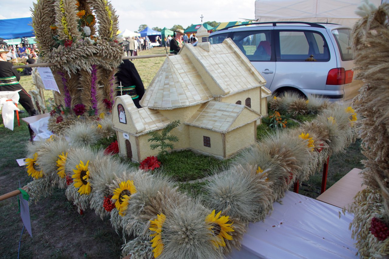 DSC08019