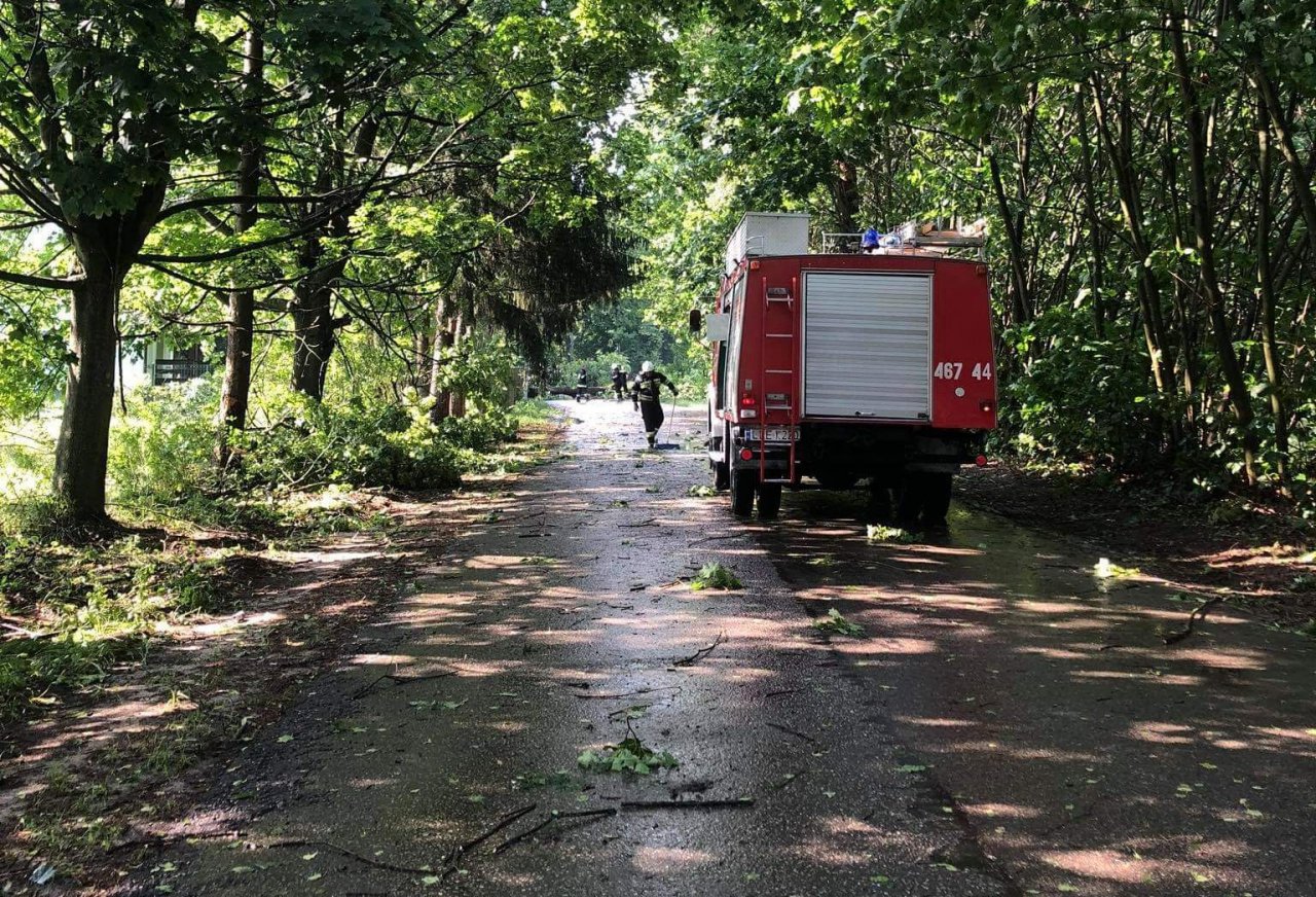 101d59