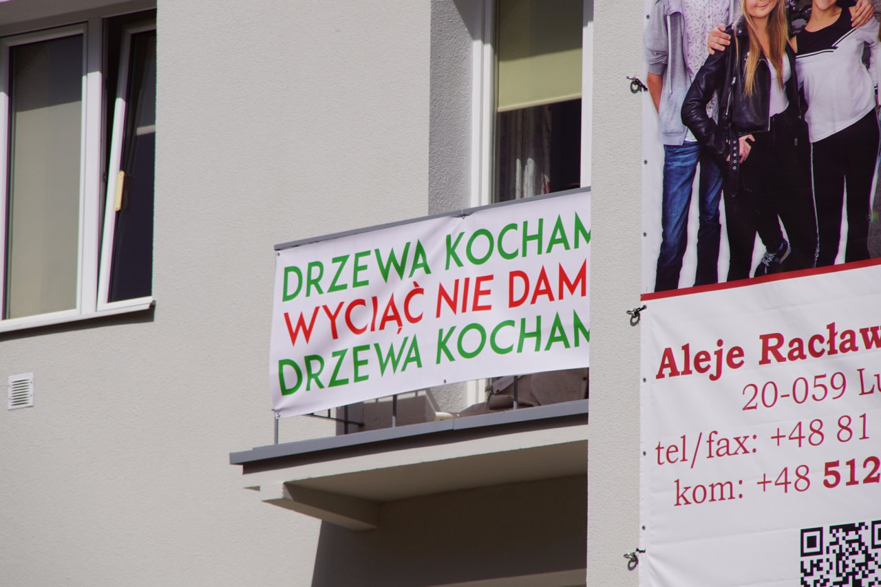 DSC04219