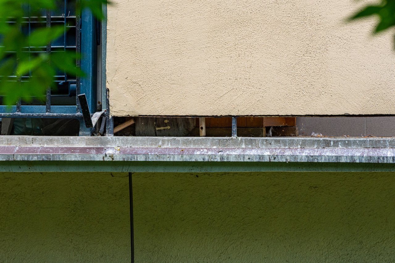 DSC_8994