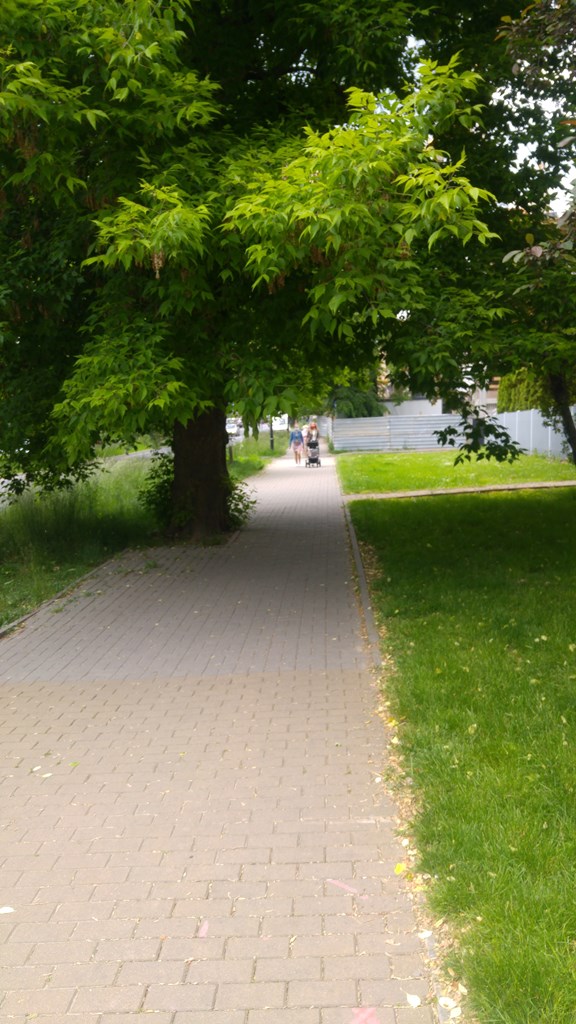 Obrońców pokoju (2)