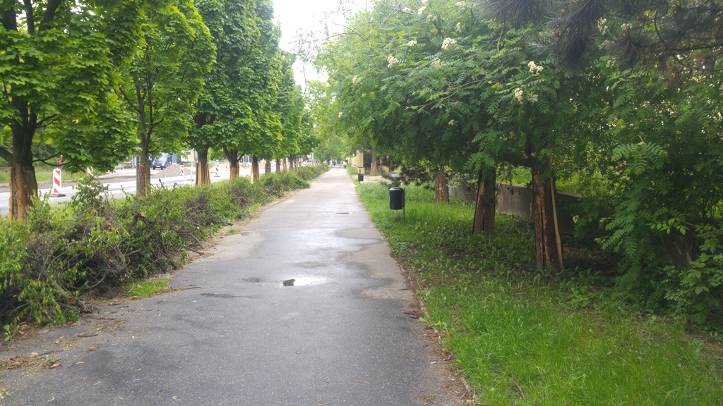 Racławickie (1)