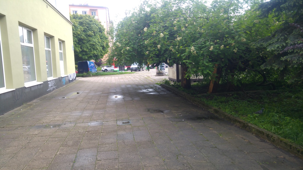 Racławickie (2)