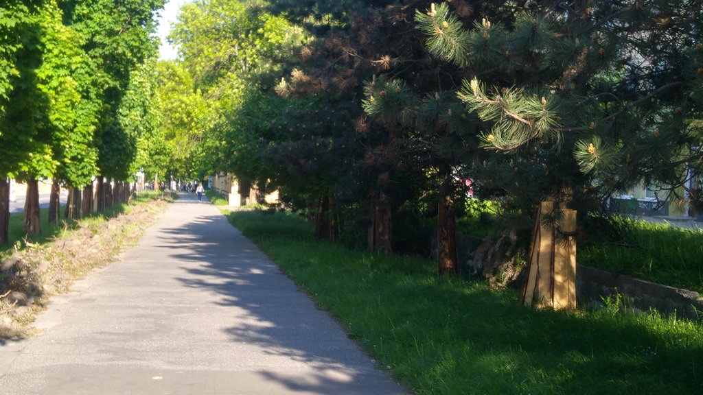 Racławickie a