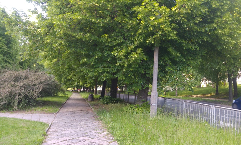 Sowińskiego (3)
