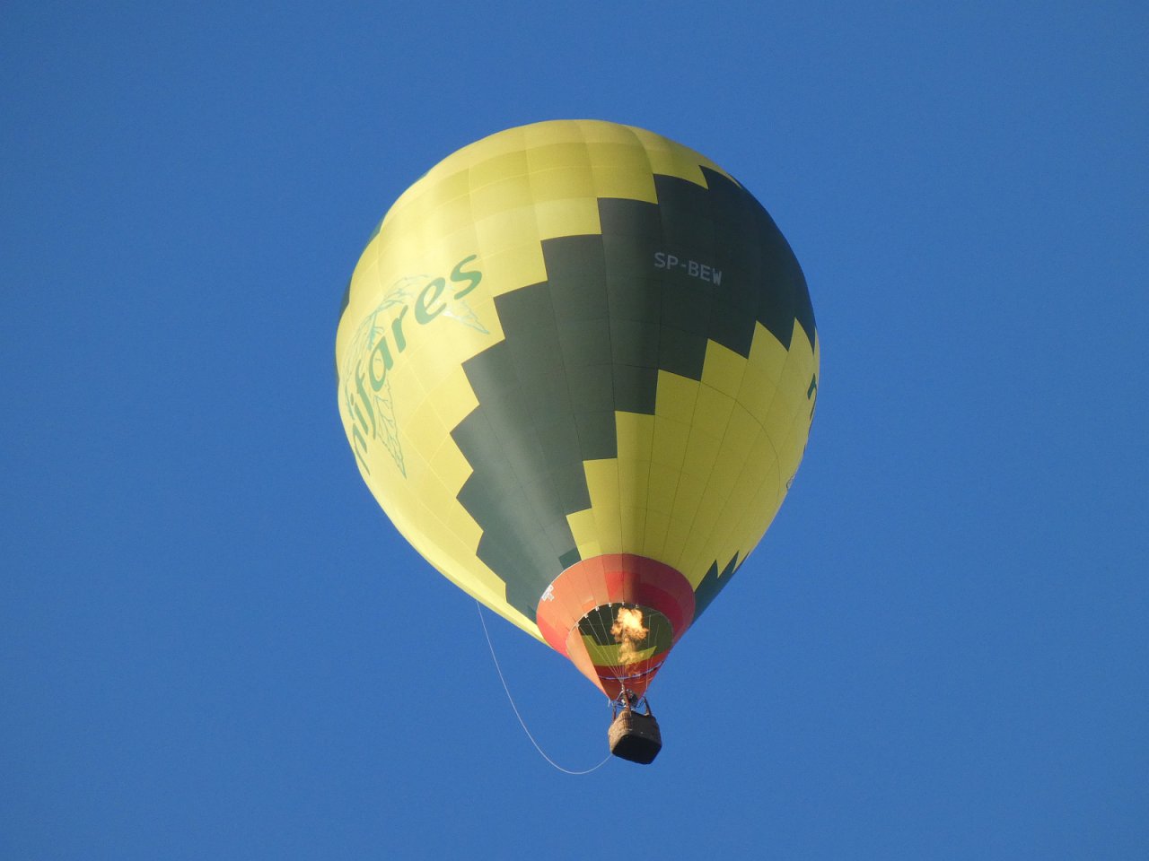 P1050486m