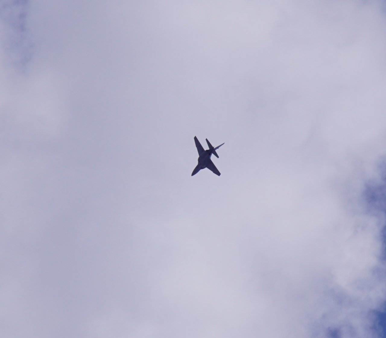 DSC00582d