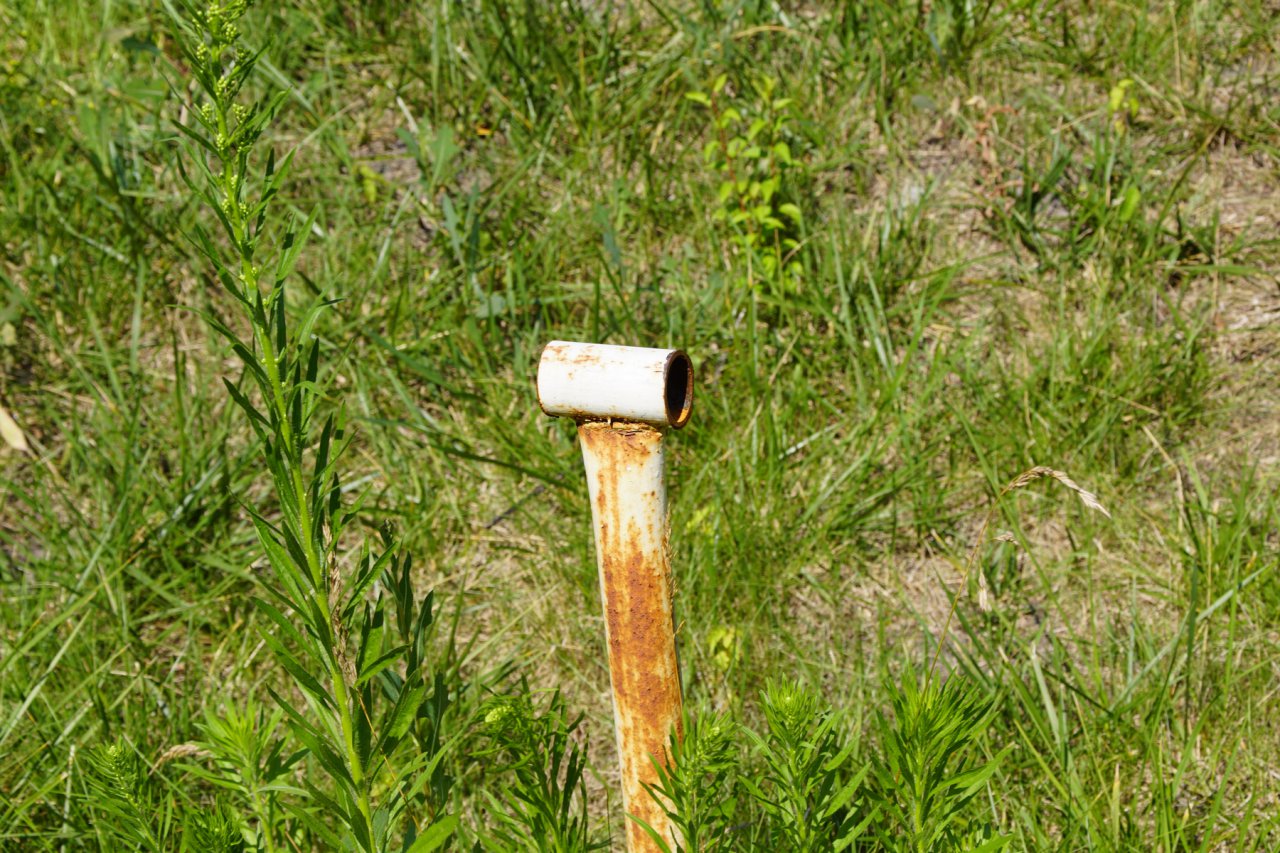 DSC00800