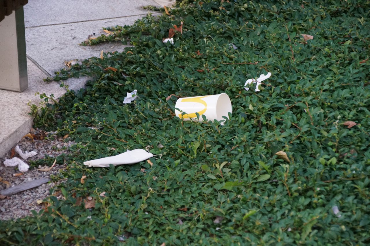 DSC02589