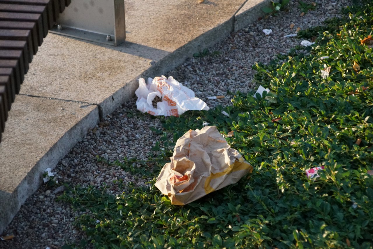 DSC02590