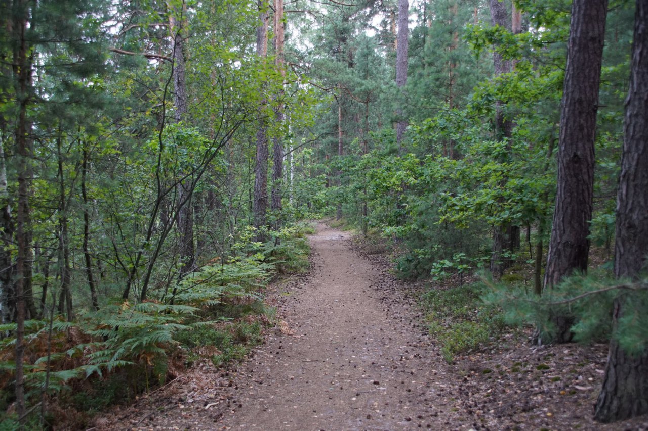 DSC03280