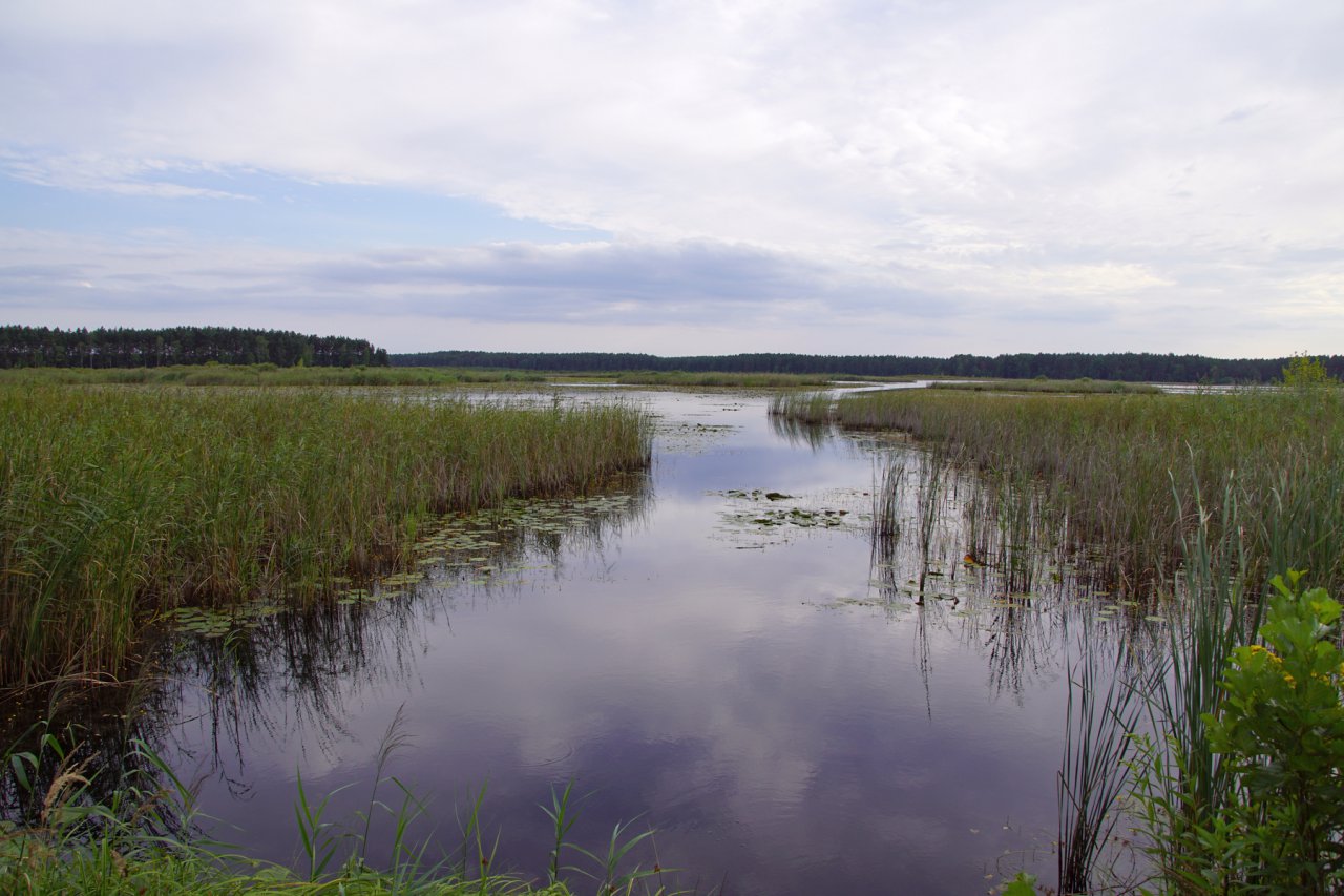 DSC03300