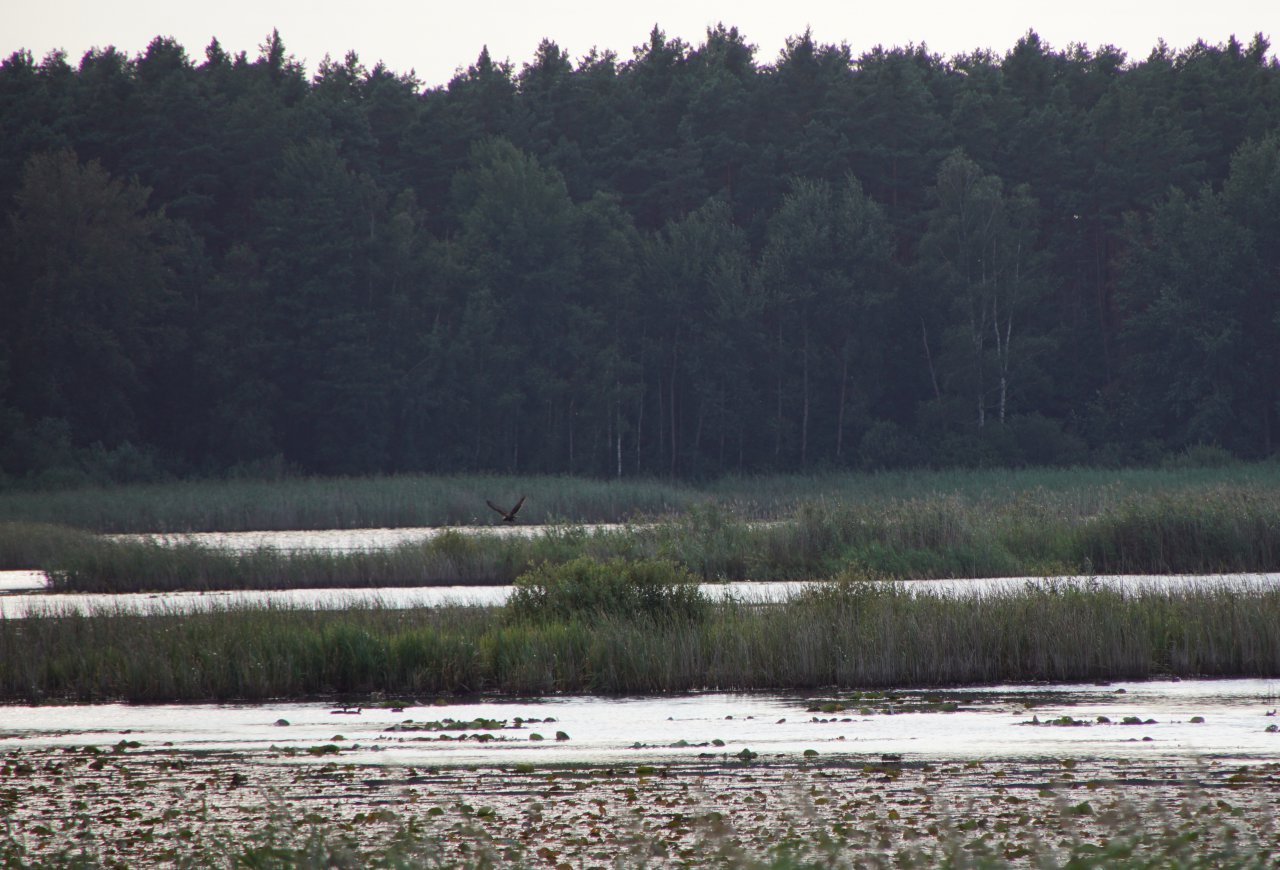 DSC03331