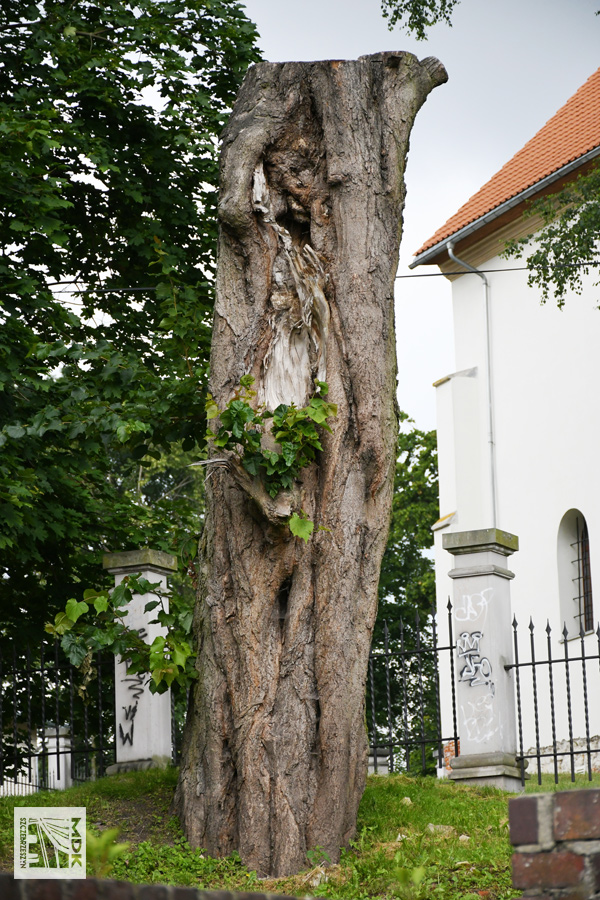 101w43