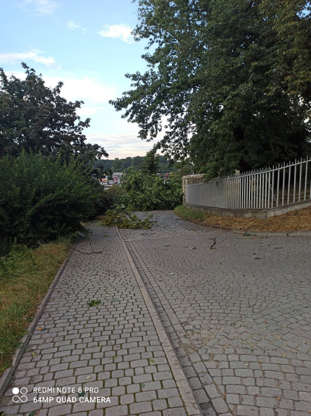 117589125_622574448396919_7430348748630446958_n