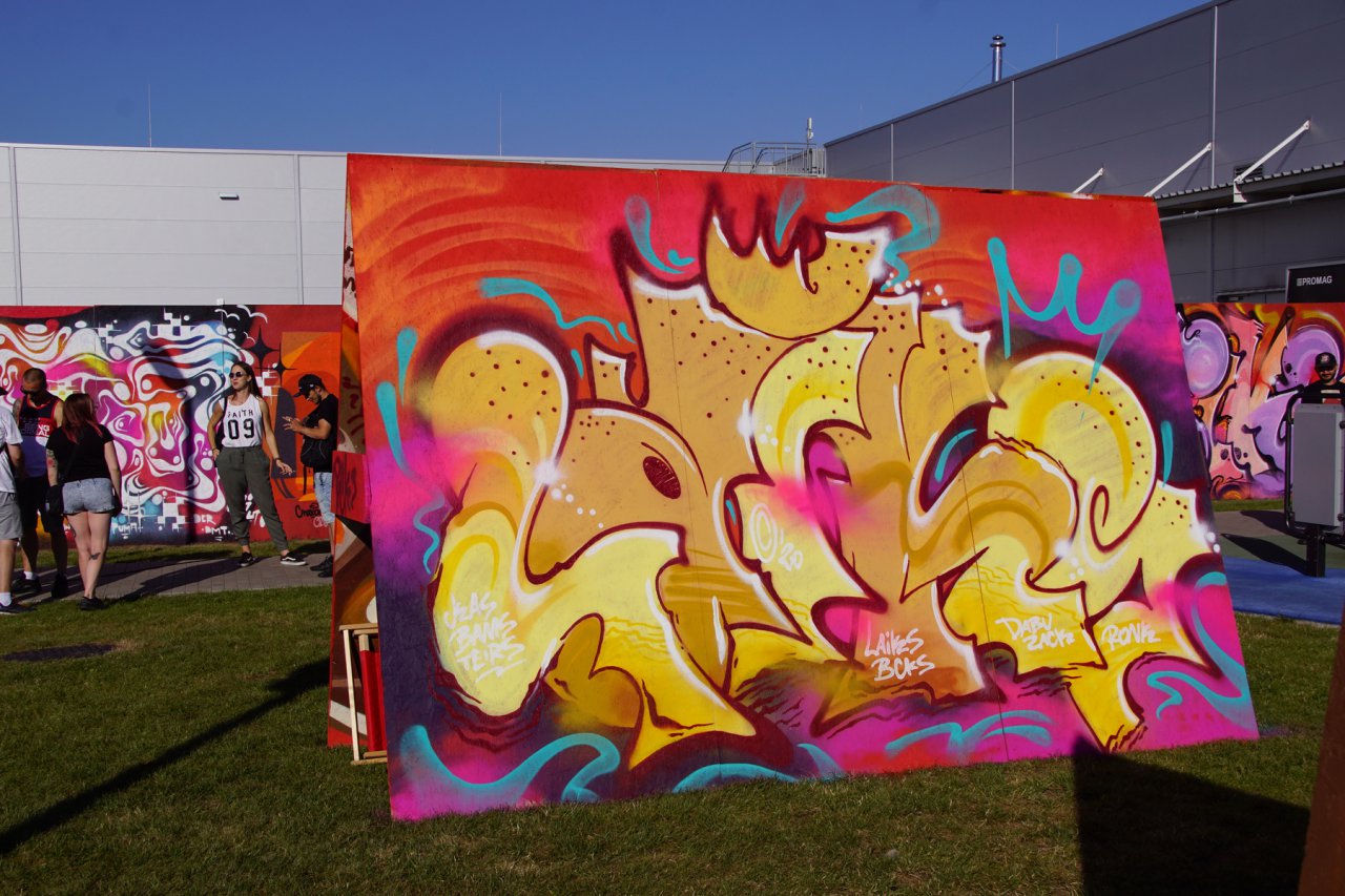 DSC01654