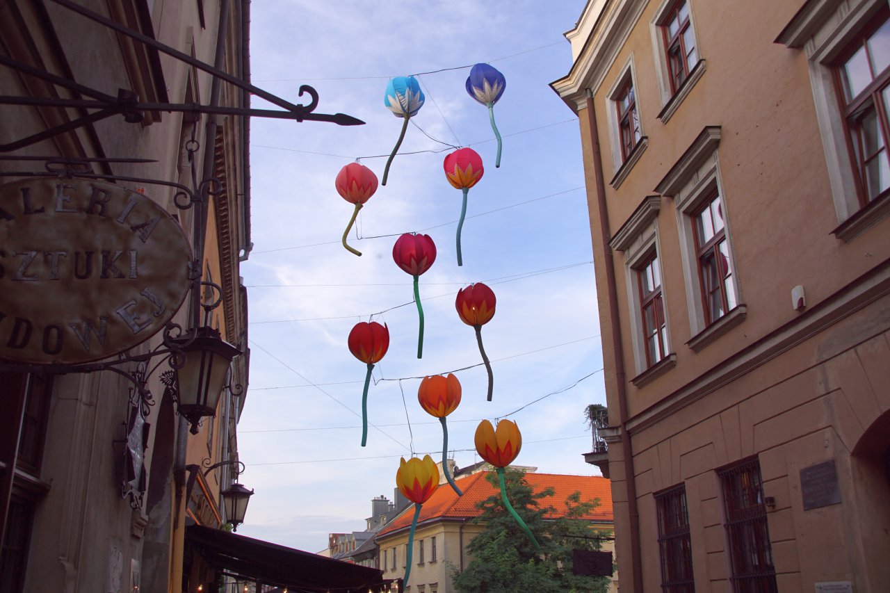DSC03607