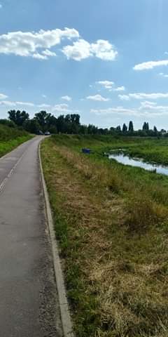 received_295039161778666