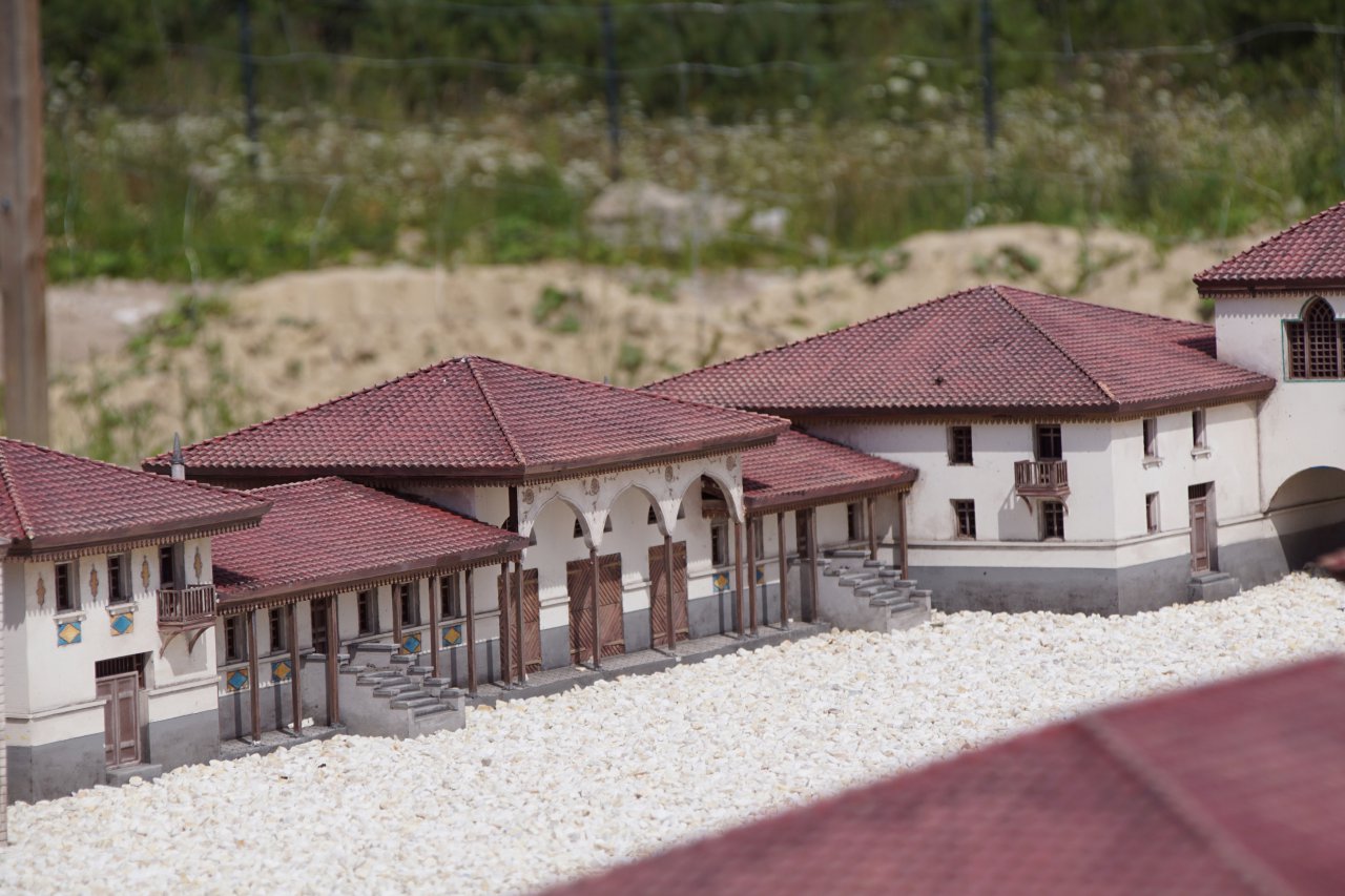 DSC01800