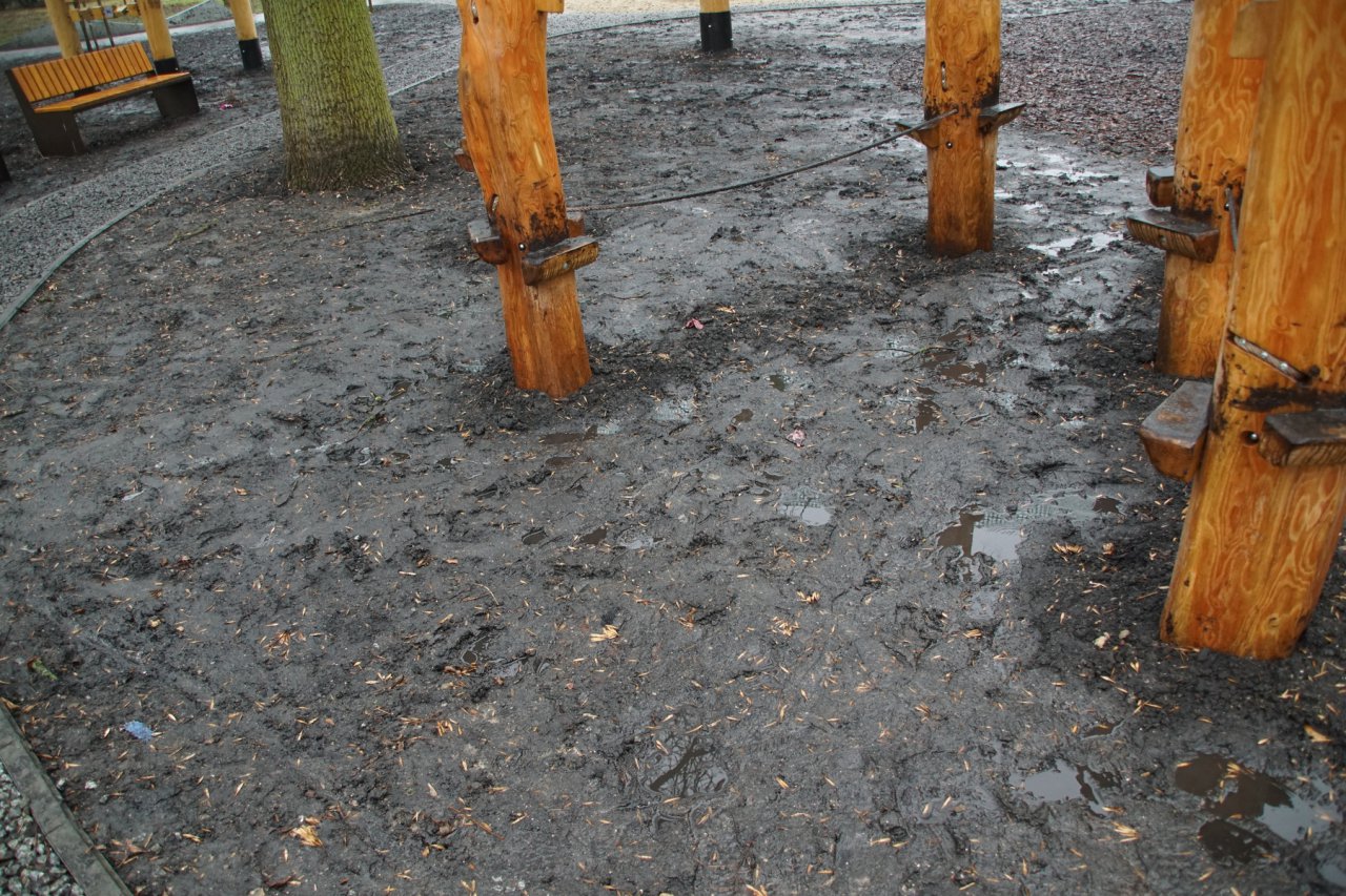DSC02005