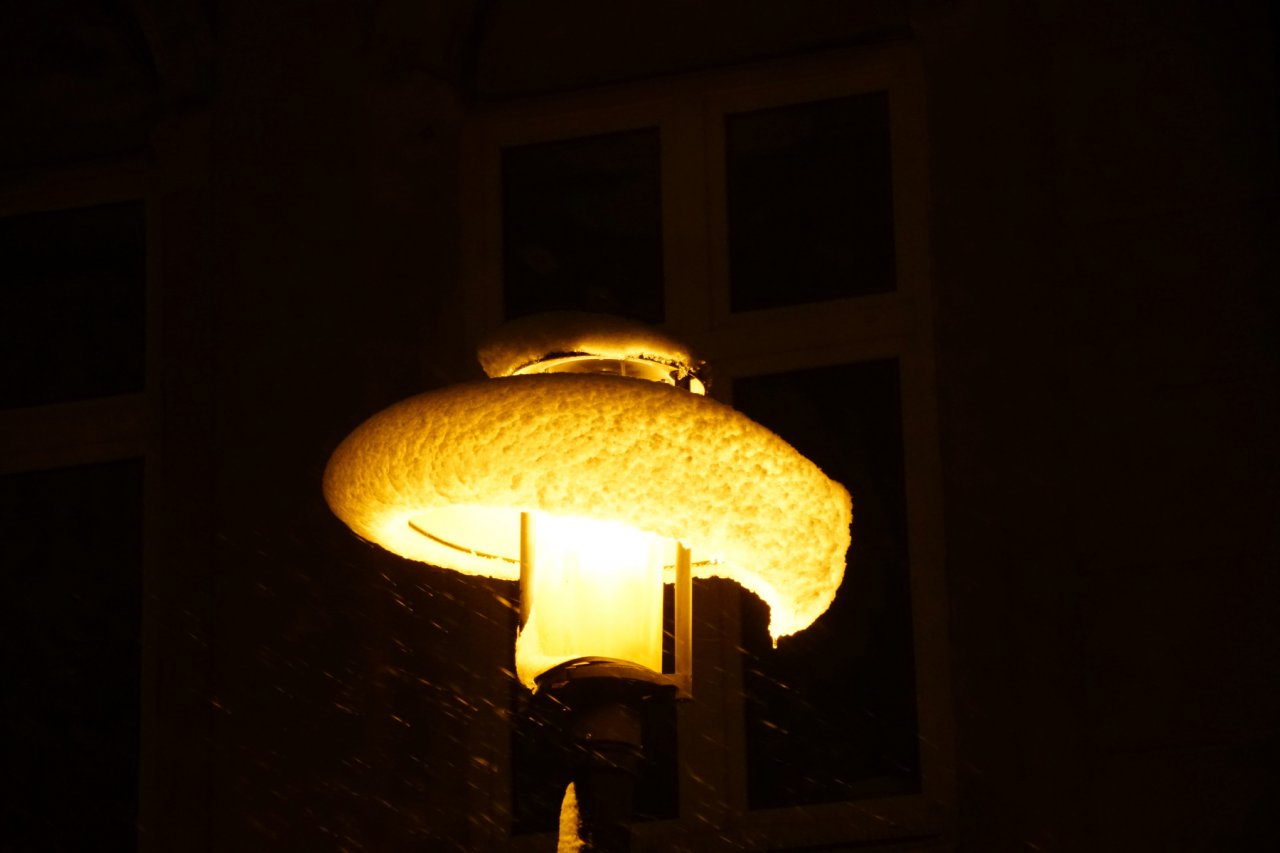 DSC03404