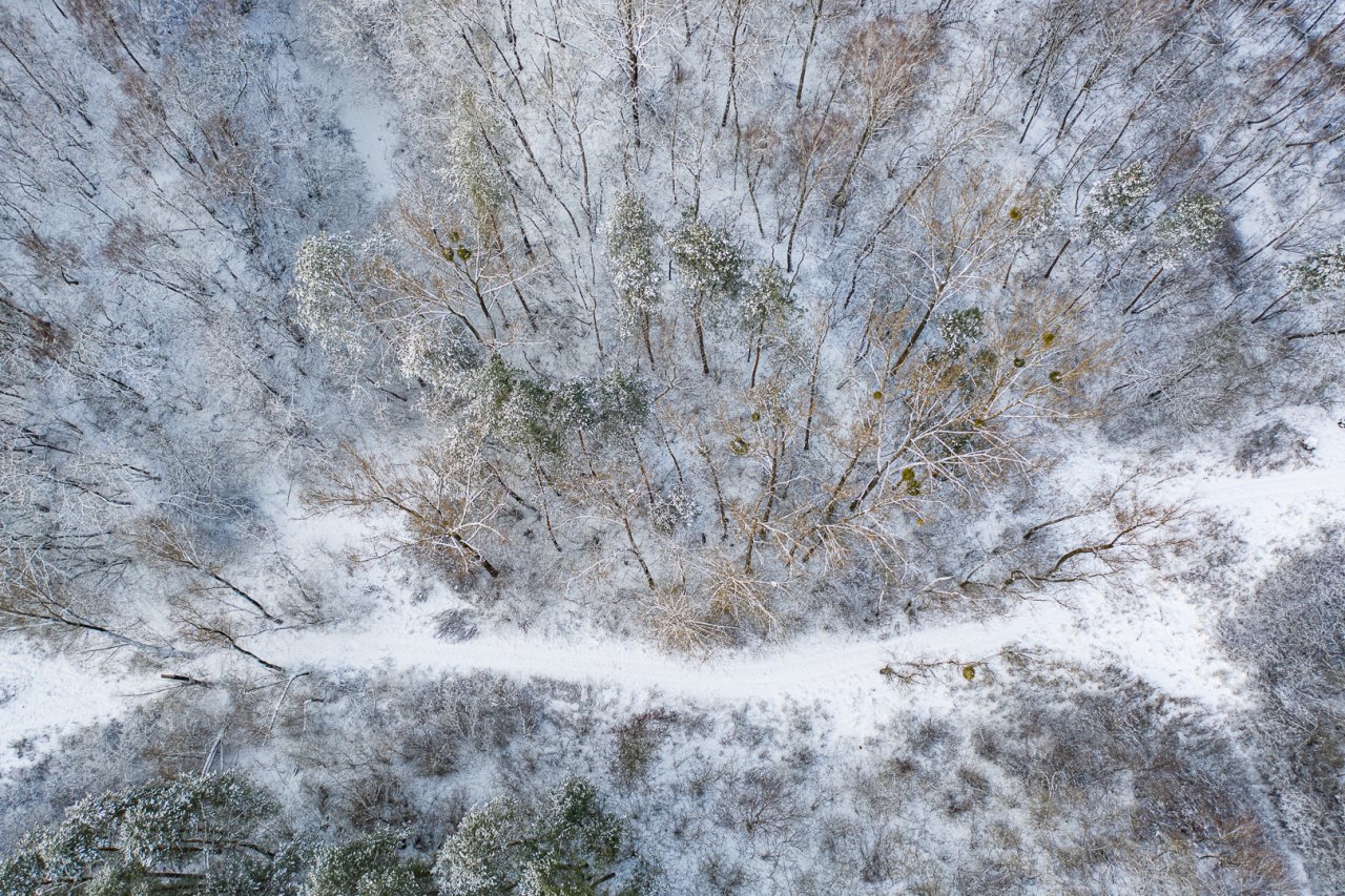 DJI_0012-HDR