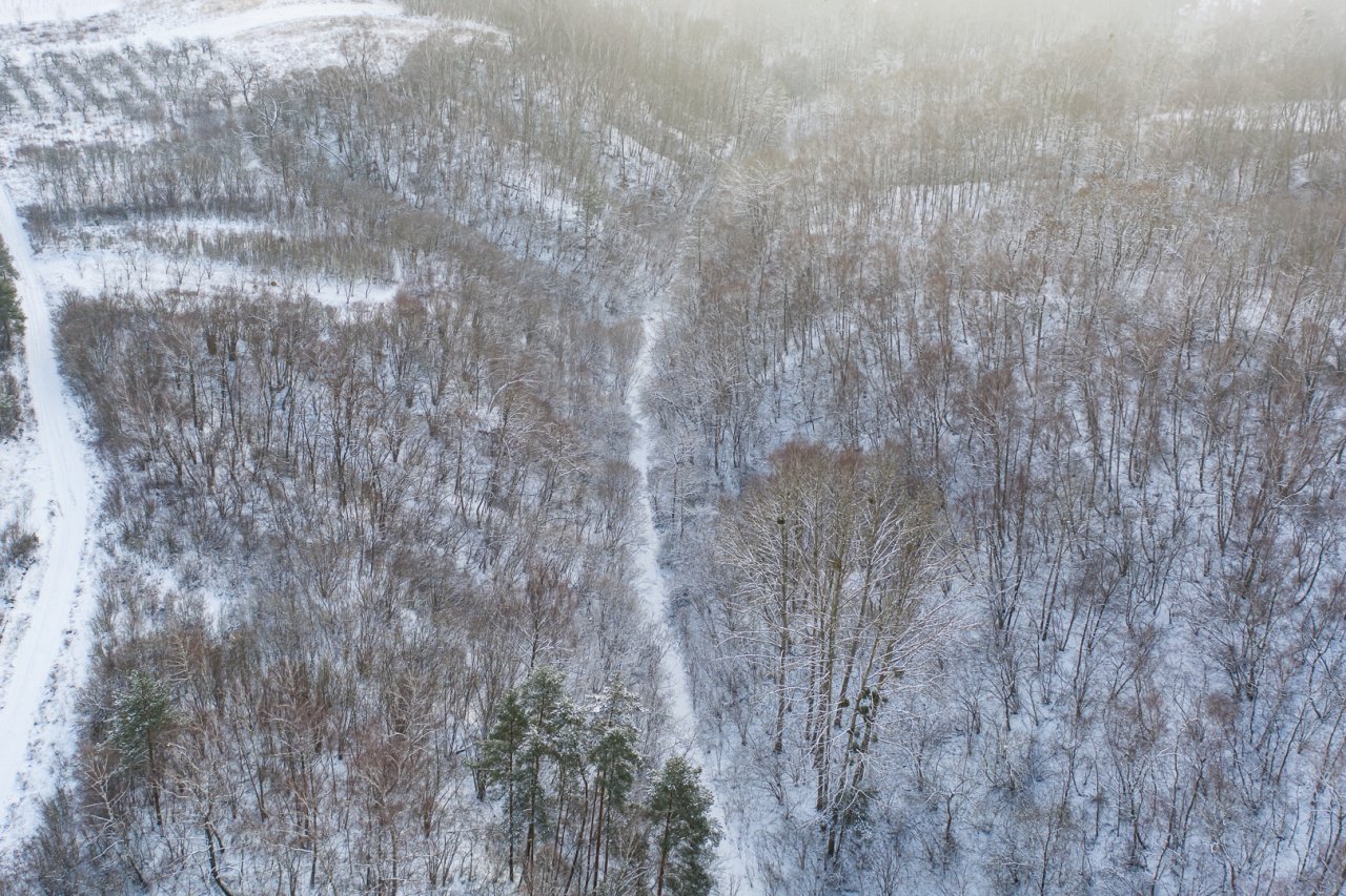 DJI_0022-HDR
