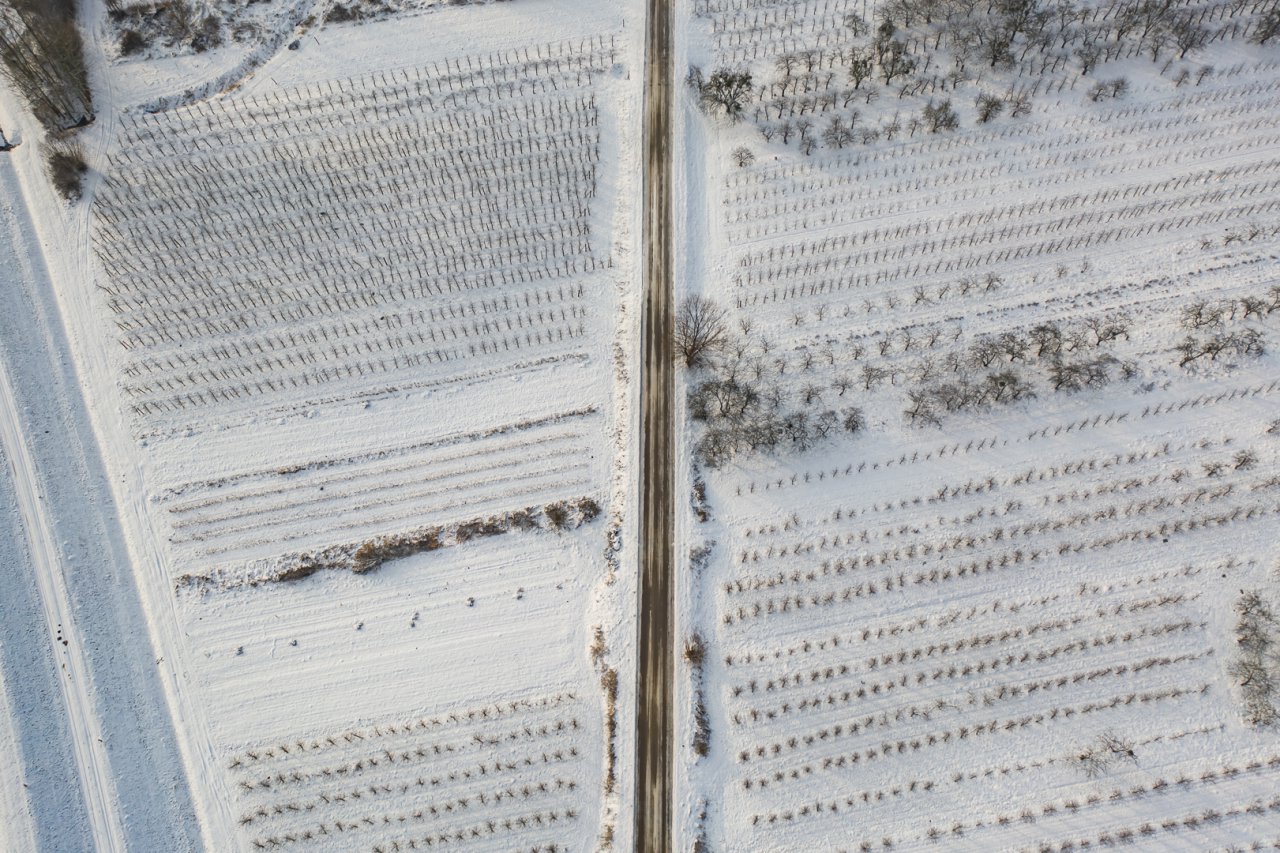 DJI_0182-HDR