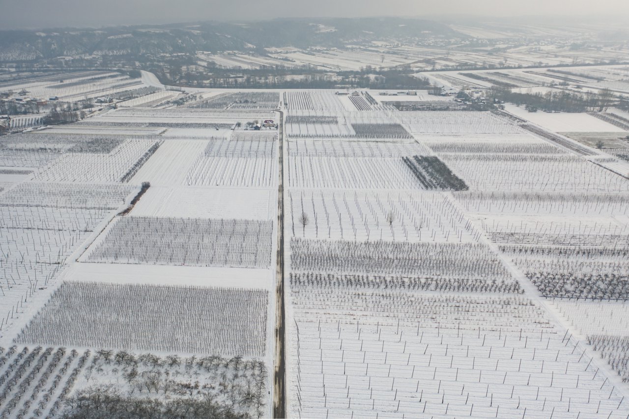 DJI_0247-HDR