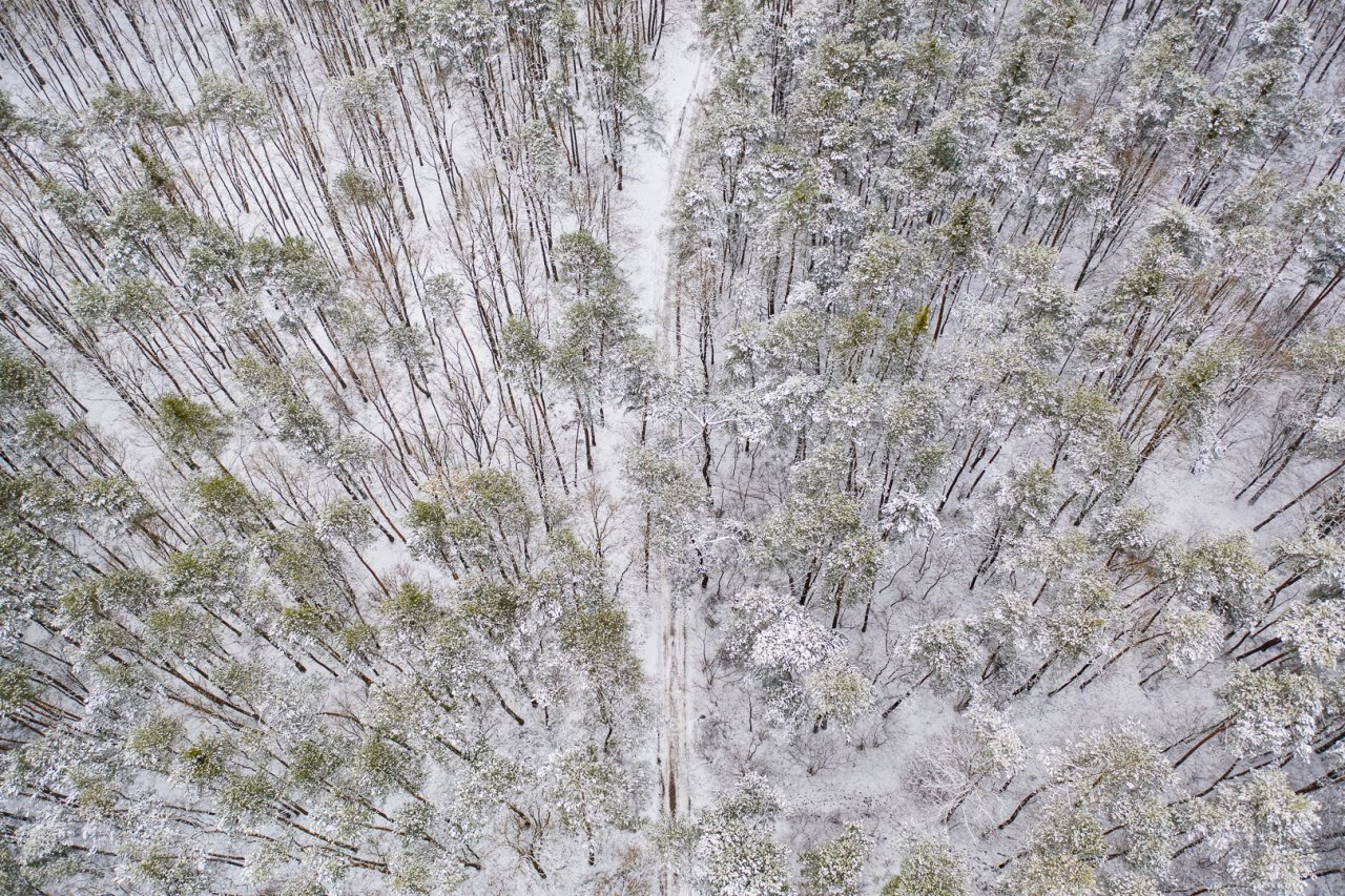 DJI_0462-HDR