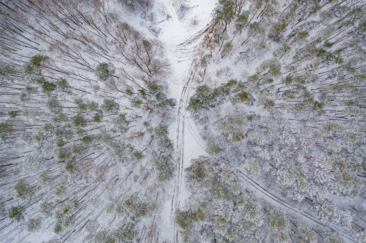 DJI_0472