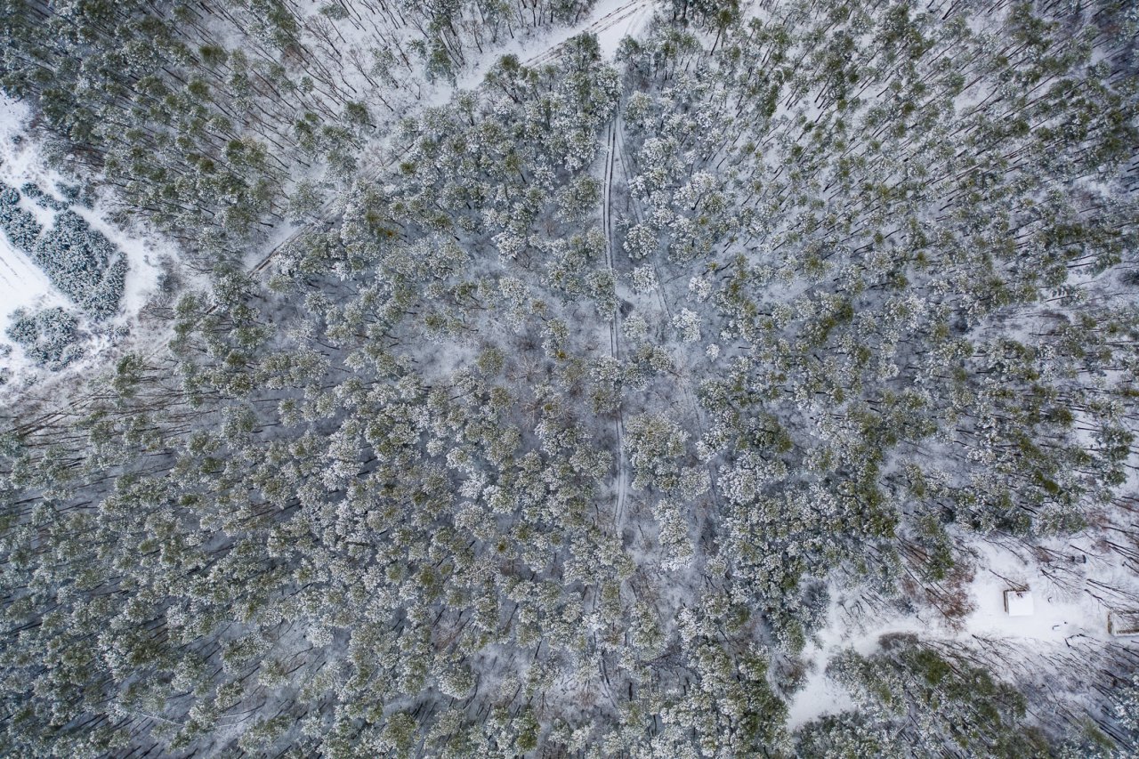 DJI_0512-HDR