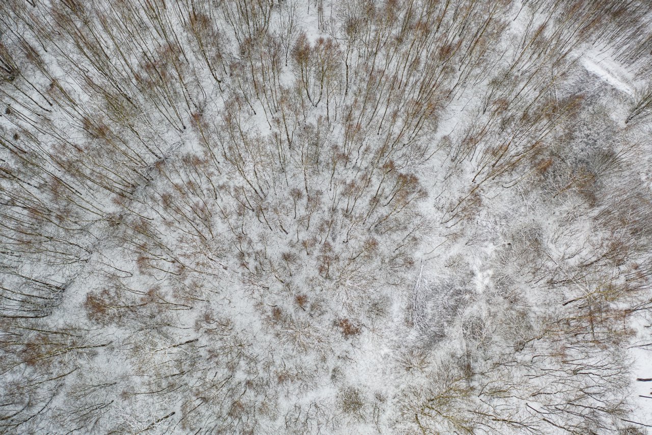 DJI_0901-HDR