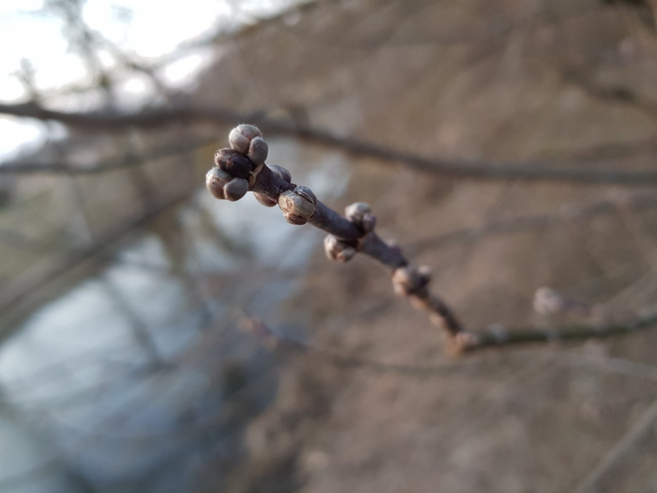 20210328_184901