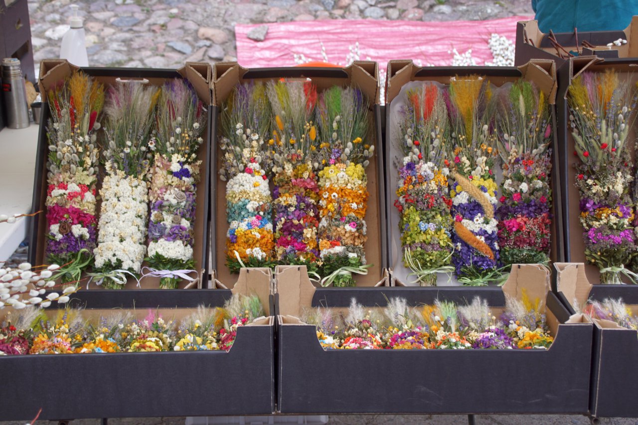 DSC06731