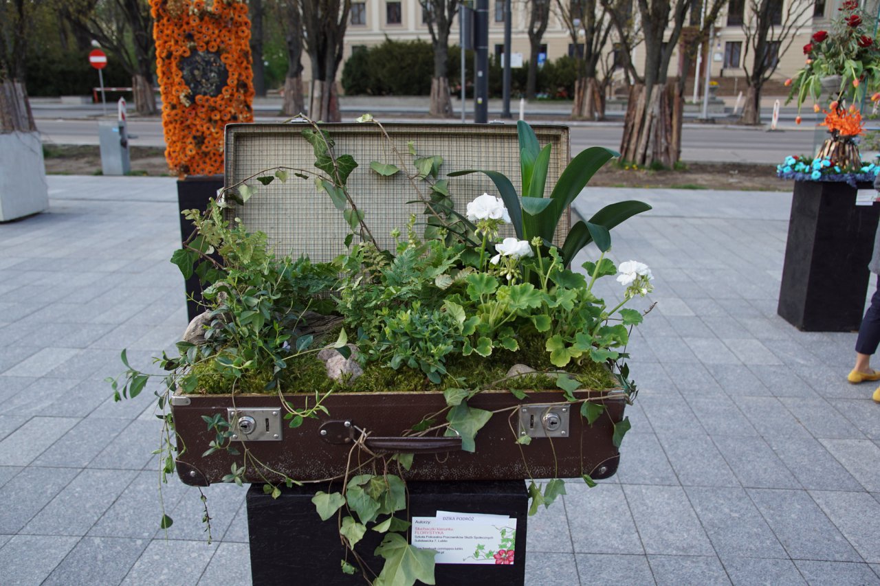 DSC00194