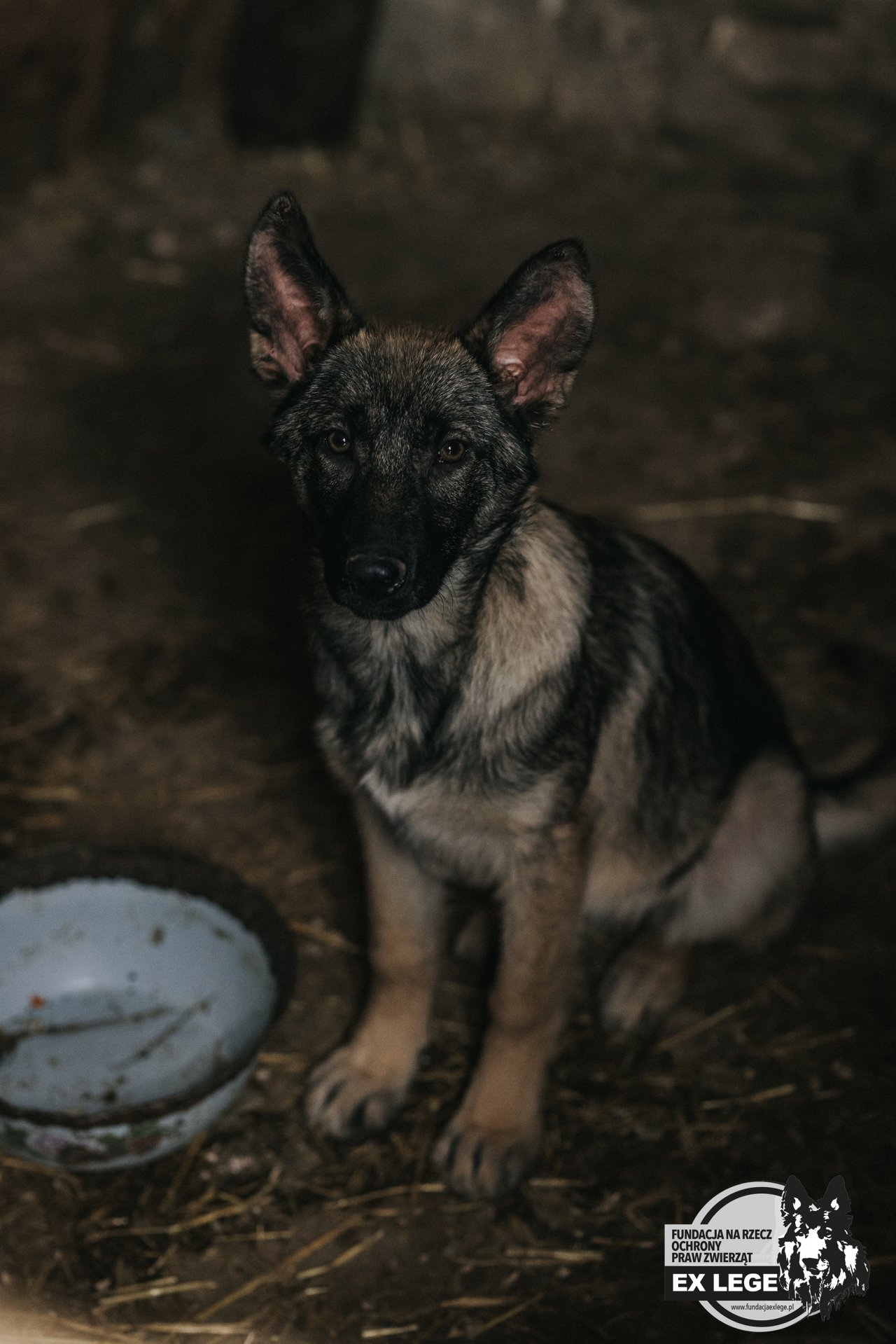 interwencja_ex lege-160