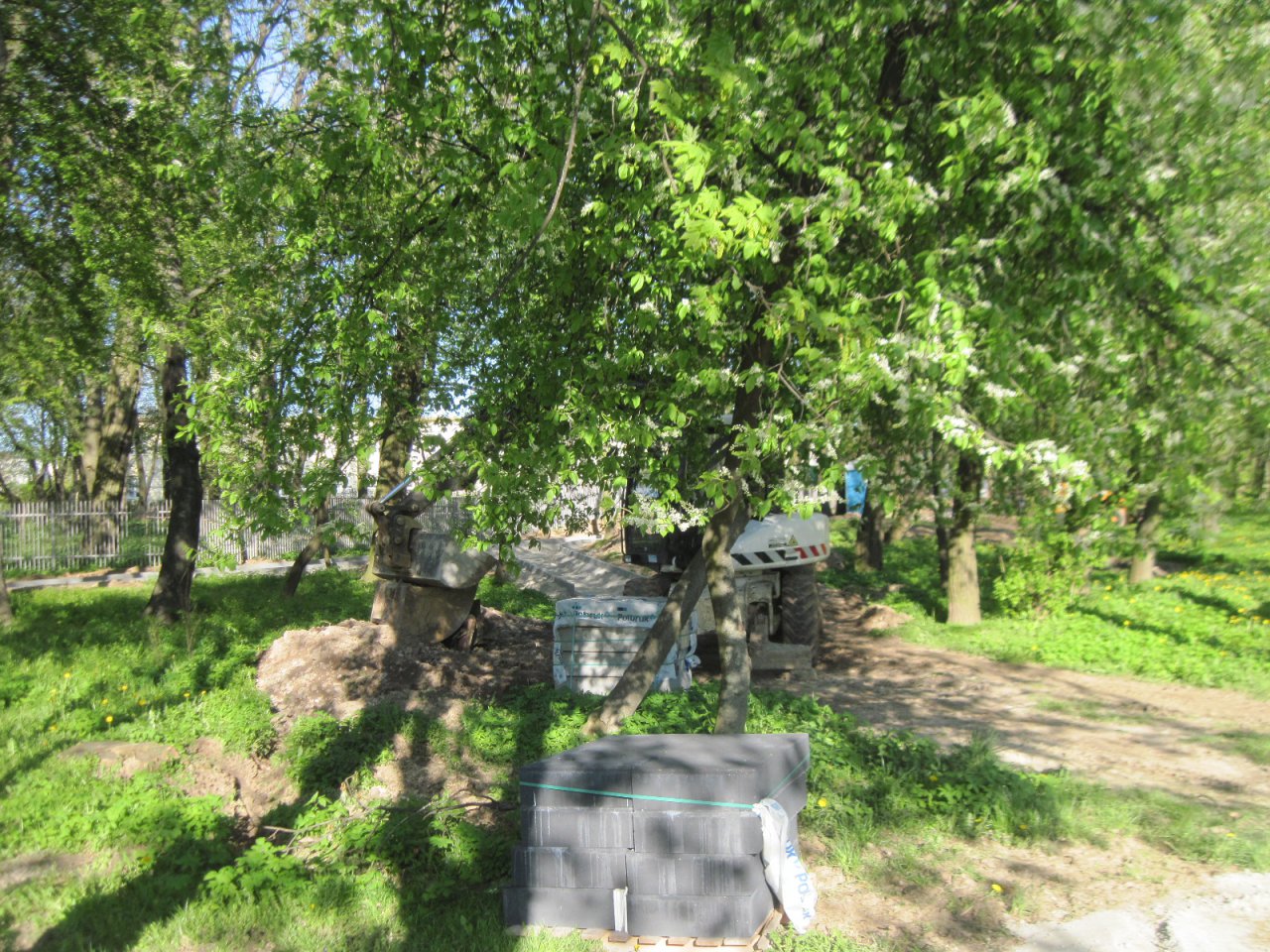 IMG_4825