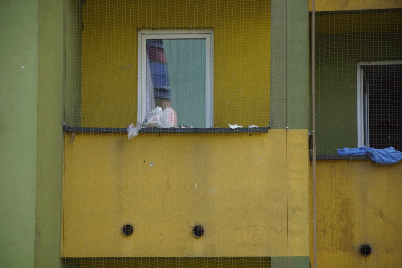 DSC05980