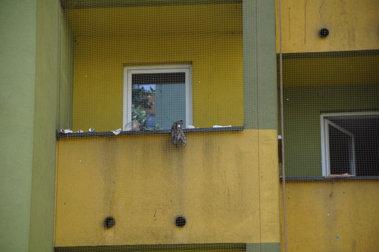 DSC05981