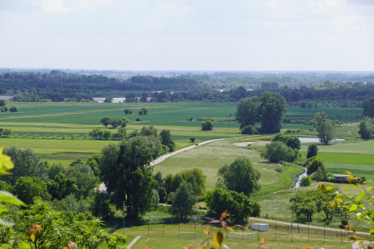 DSC03140