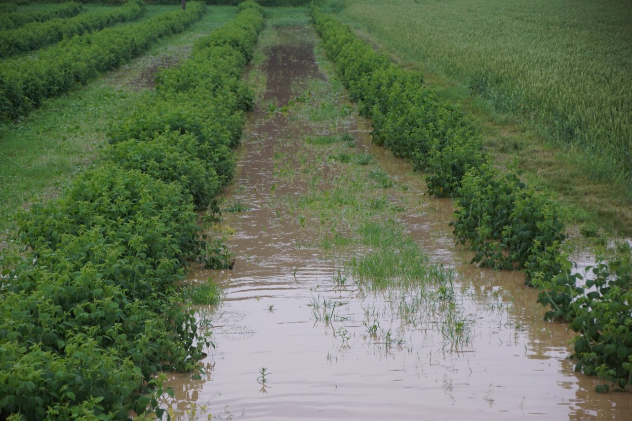 DSC05671